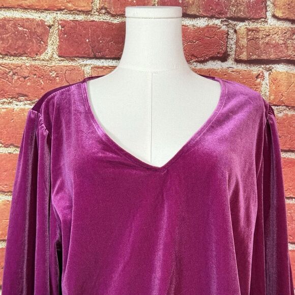 LOFT Women's Purple Velour Long Sleeve‎ V Neck Stretch Size XL NWT $55 - Picture 2 of 12